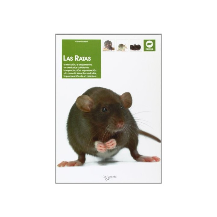 Las Ratas - Olivier Laurent
